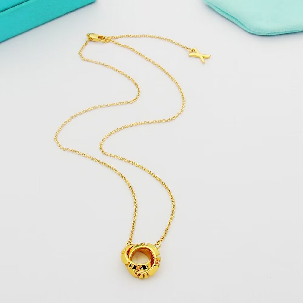 Tiffany's Rome Necklace (1 of 1)