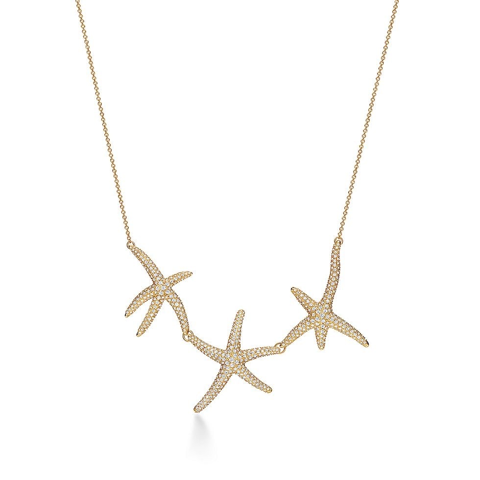 Tiffany necklace, starfish necklace (1 of 1)