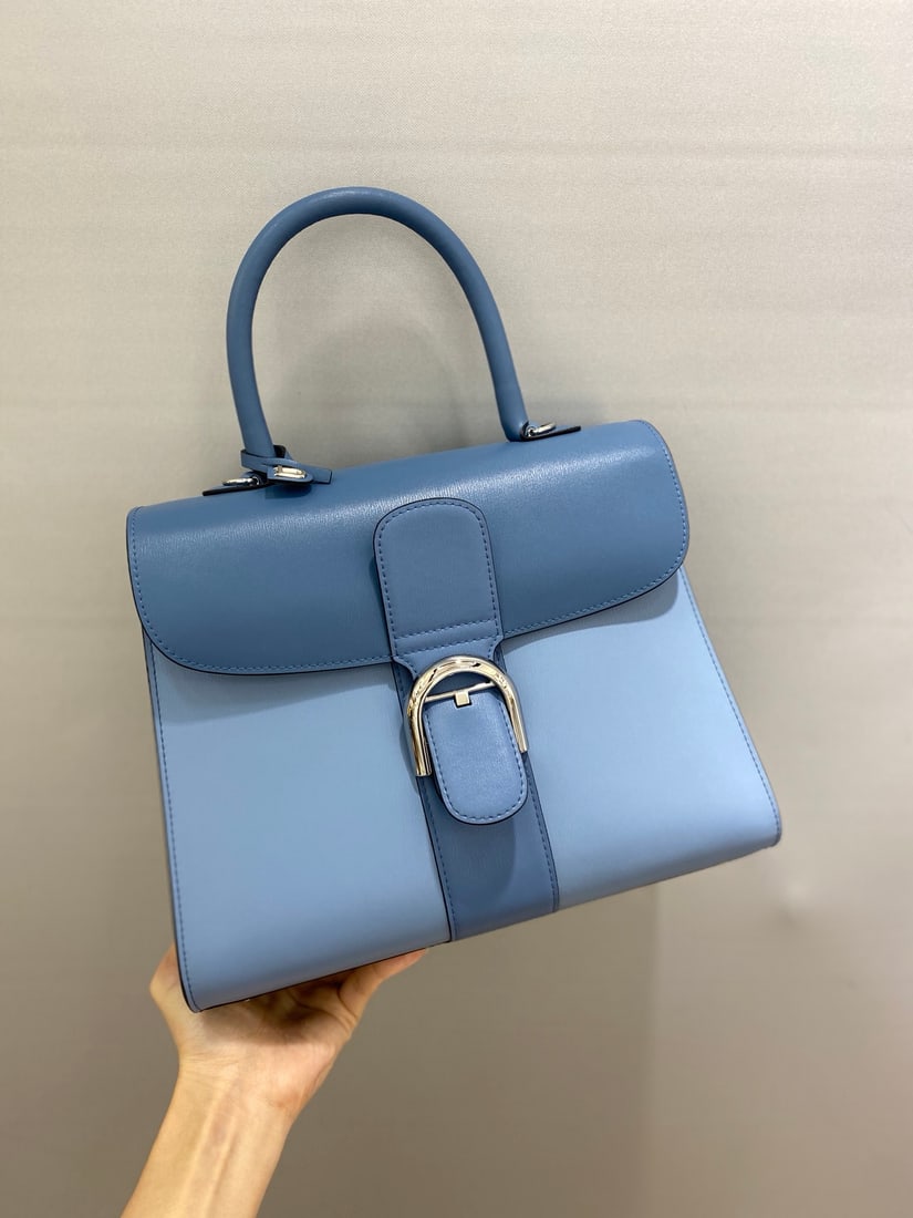 Delvaux brillant (1 of 8)