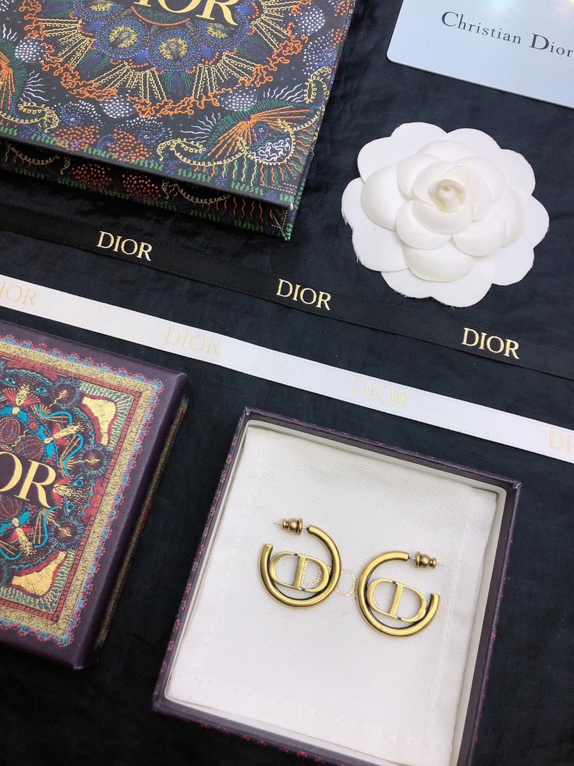 Dior letter earrings: Dior letter stud earrings are very texturedWonderful gift for you or your loved one.We offer consoilidated shipment for all goods to our domestic and international customers at affordable prices.Curre