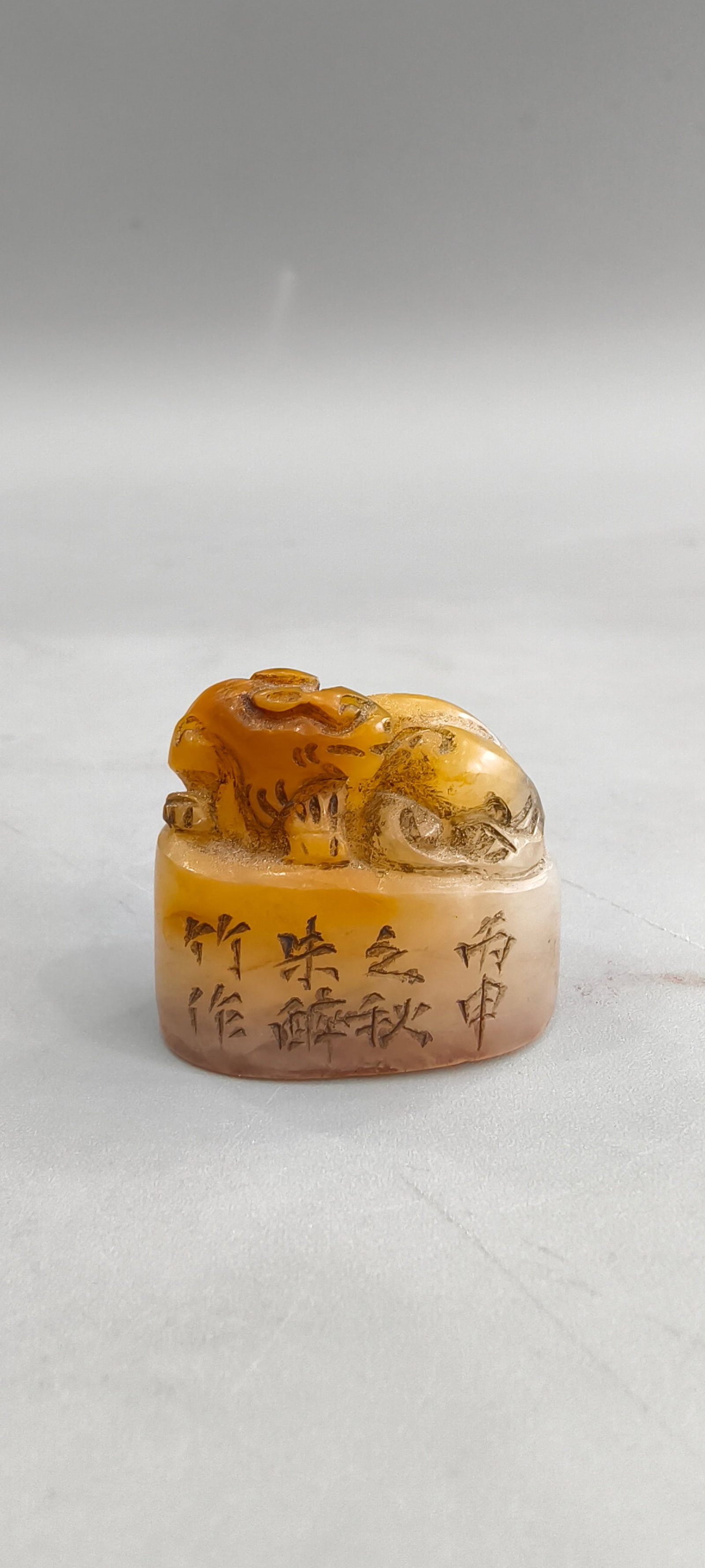 Shoushan stone (dragon and tiger) seal (1 of 9)