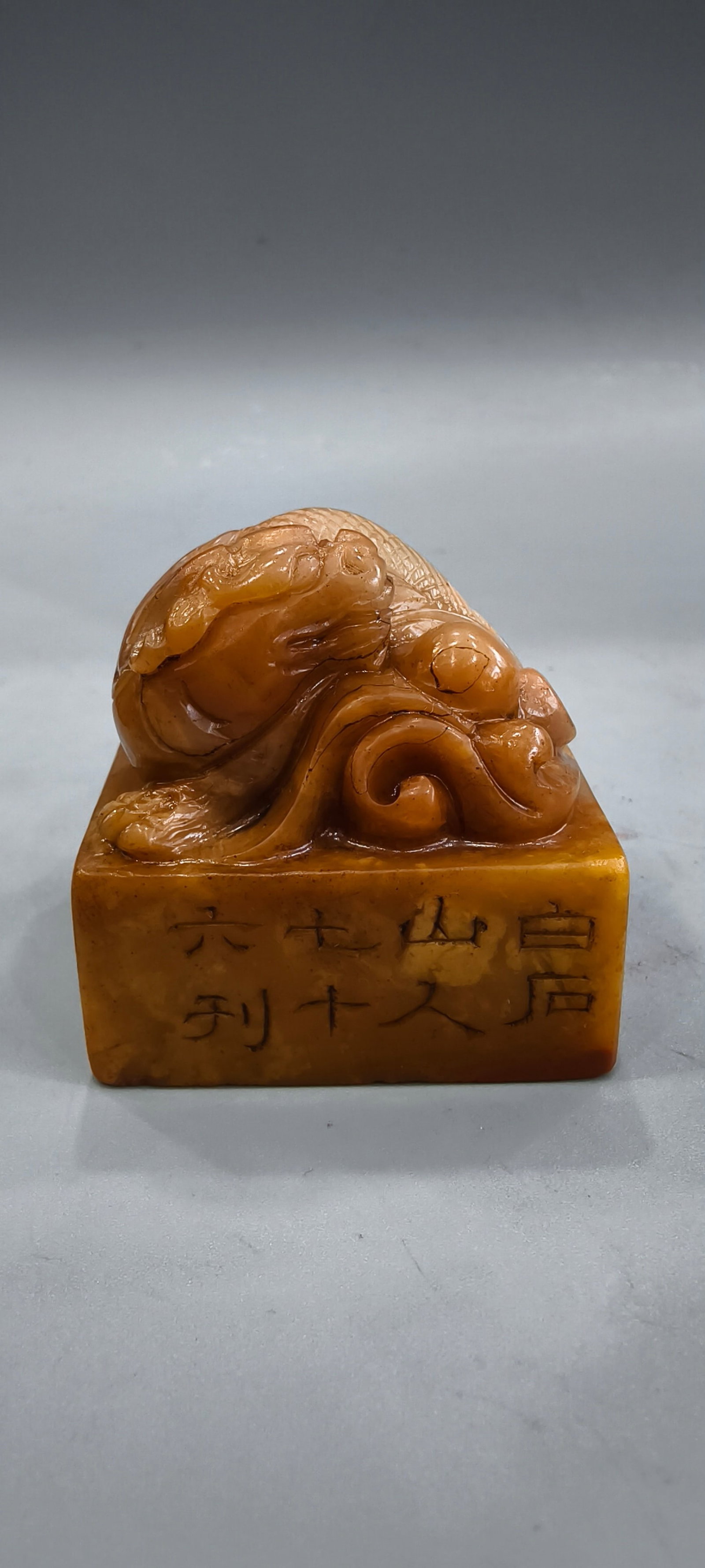 Shoushan stone (proud dragon) seal (1 of 9)