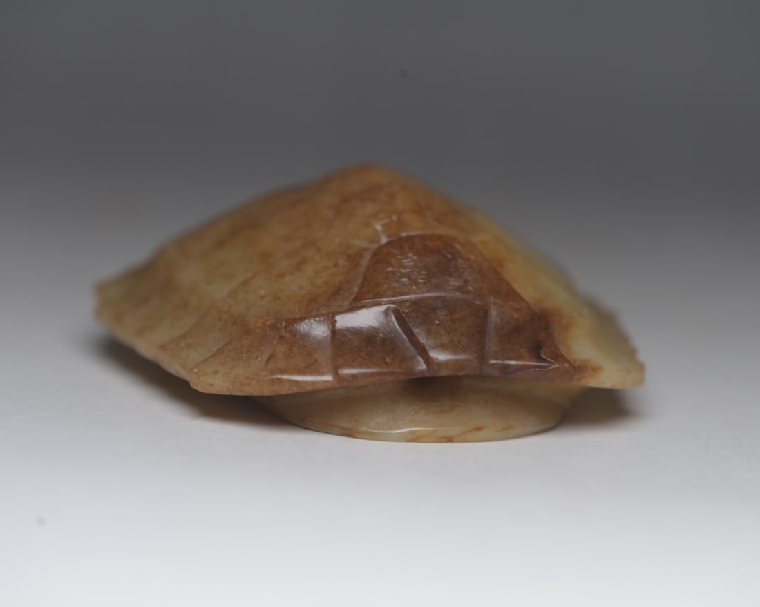 Hotan Jade Turtle Shell - 5