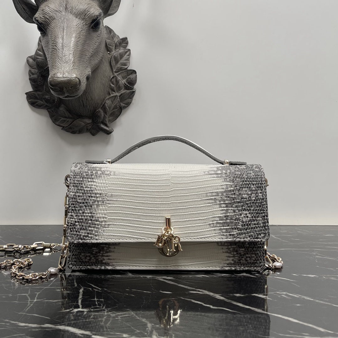 Christian Dior Top Handle Pouch: We offer FREE SHIPPING for both domestic and international clients who bid over $500. The limited-edition DIOR lizard skin bag is absolutely stunning in person! The Dior Lady Top Handle Pouch is a pop