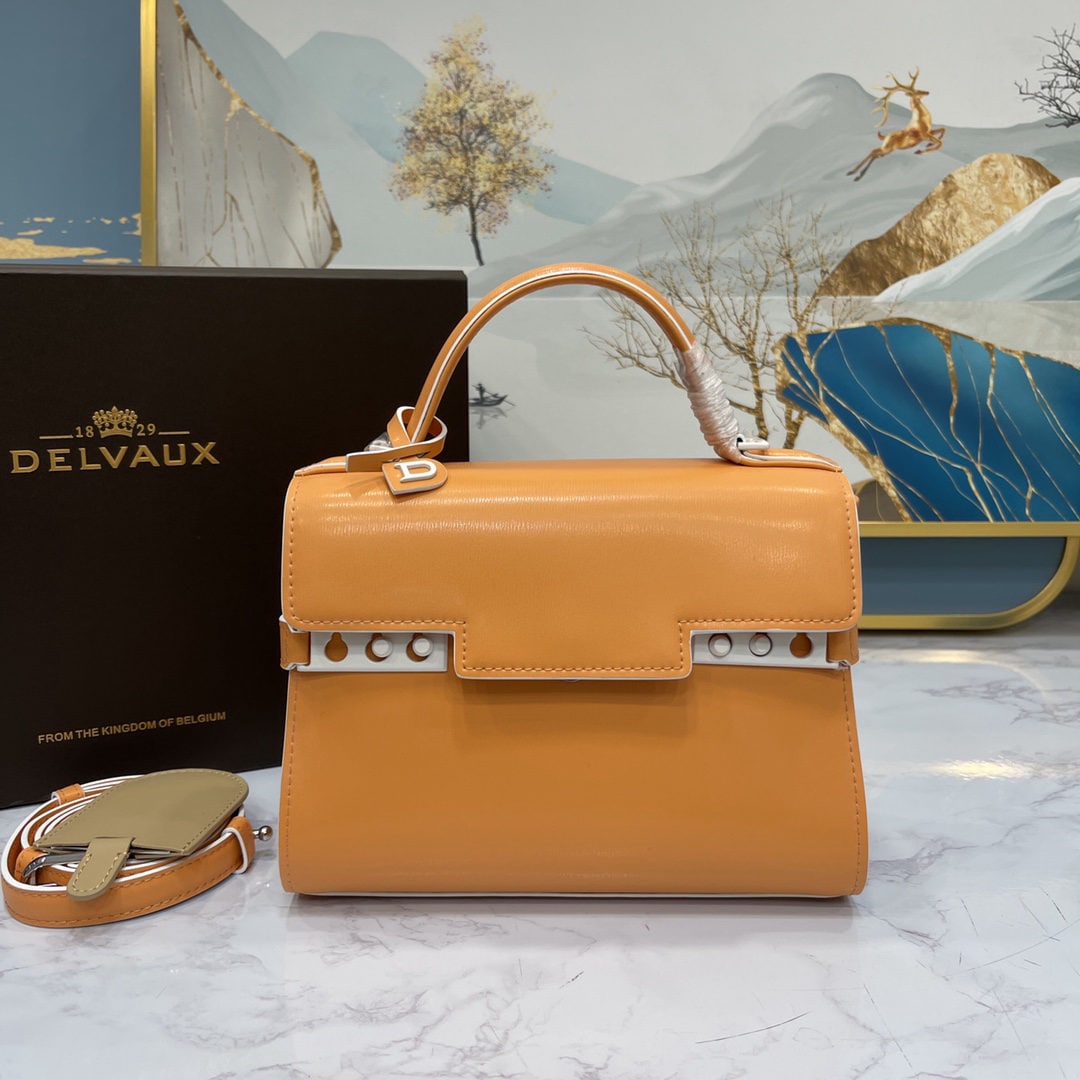 Delvaux: We offer FREE SHIPPING for both domestic and international clients who bid over $500. Delvaux, hailed as "Belgium's Little Herm??s," also designed the Delvaux Tempete in collaboration with architect