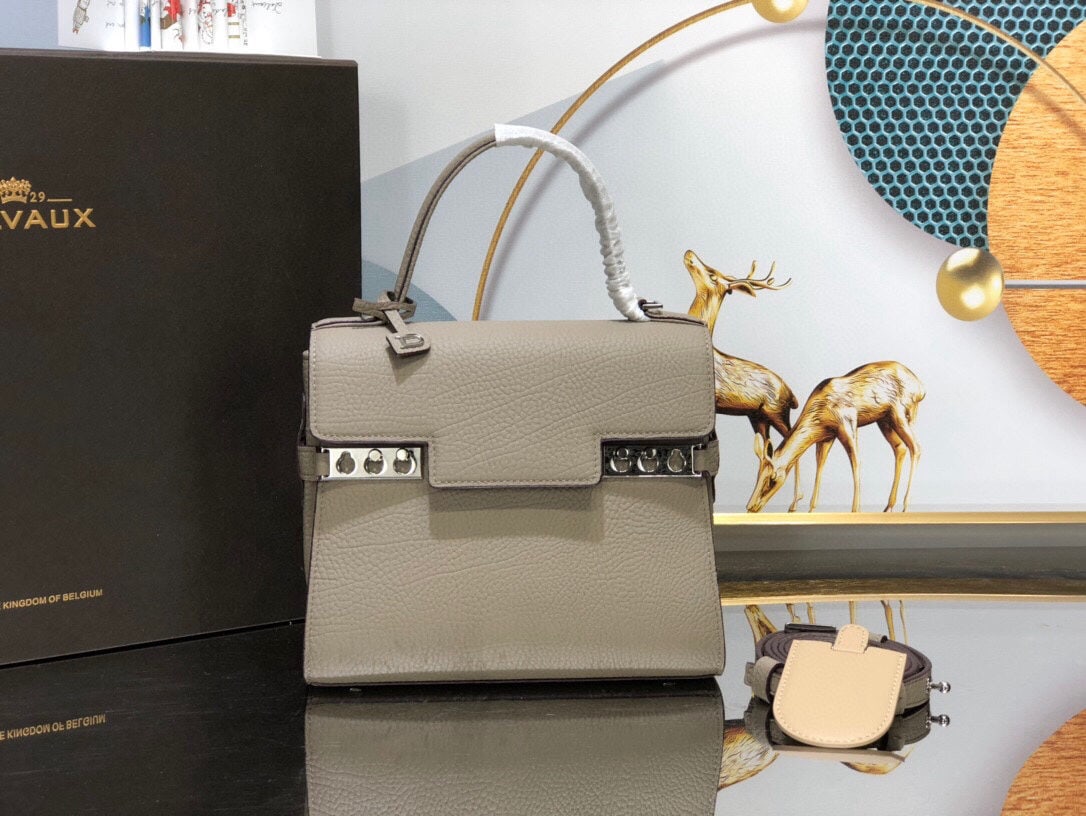 Delvaux: We offer FREE SHIPPING for both domestic and international clients who bid over $500. Delvaux Tempete PM in a milky gray hue is the hottest trend for Spring/Summer 2021, exuding a mysterious charm!