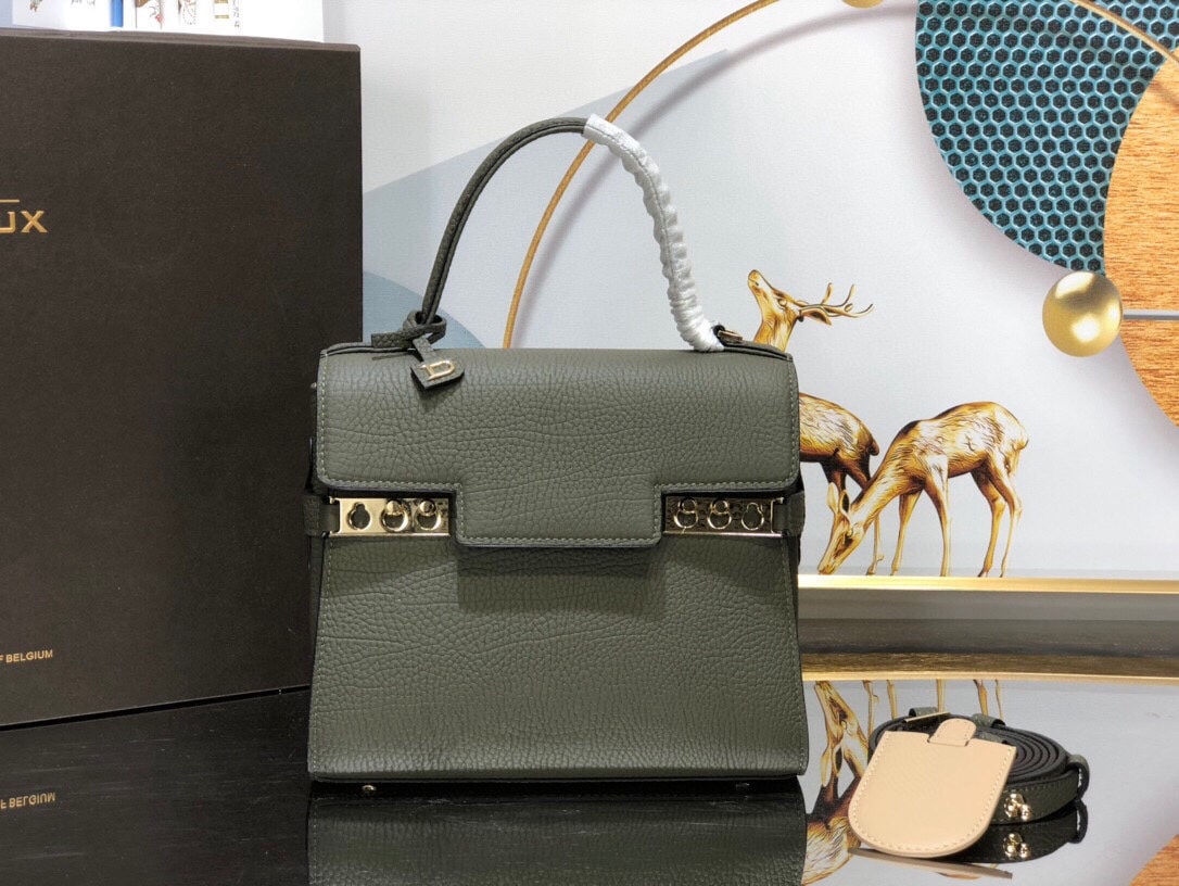 Delvaux: We offer FREE SHIPPING for both domestic and international clients who bid over $500. Delvaux Tempete PM in Caramel, the hottest color for Spring/Summer 2021, exudes a mysterious charm! The original d