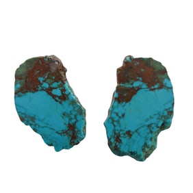 Stephen Dweck 14k Gold Filled Turquoise Earrings