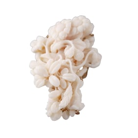 14k Gold Carved Coral Flower Large Ring