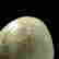 item-131743996=6