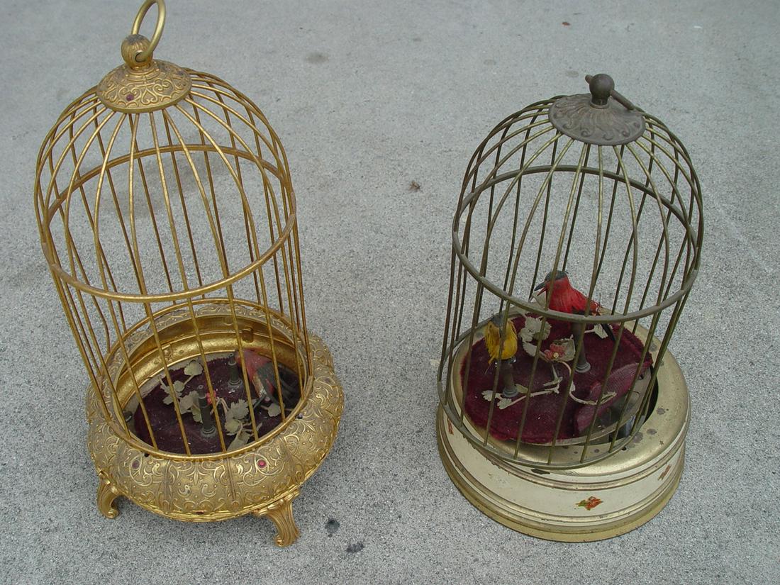 Birdcage (1 of 5)