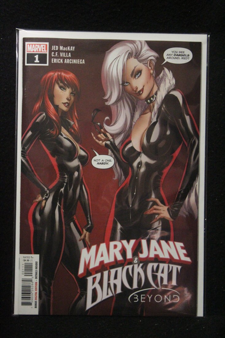 Mary Jane & Black Cat Beyond #1 J Scott Campbell Cover (1 of 1)