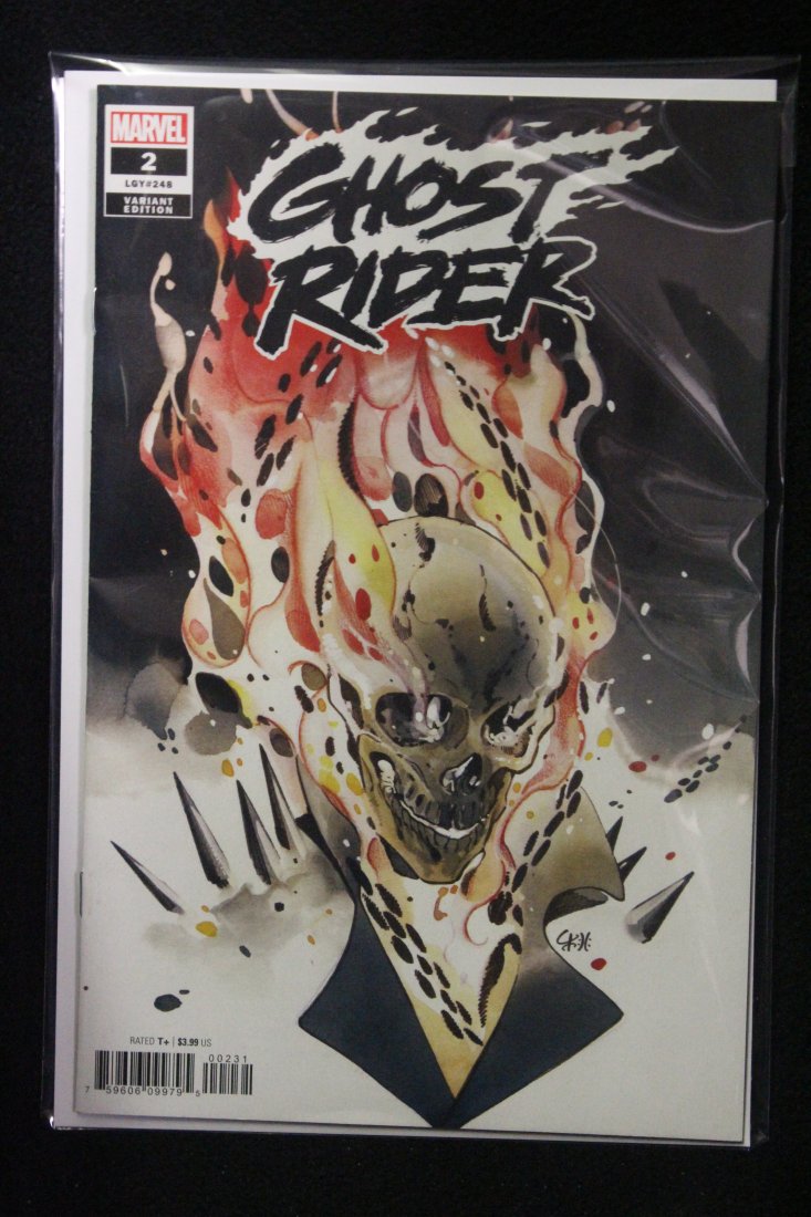 GHOST RIDER (2022) #2 SCOTTIE YOUNG VARIANT COVER: GHOST RIDER (2022) #2 SCOTTIE YOUNG VARIANT COVER