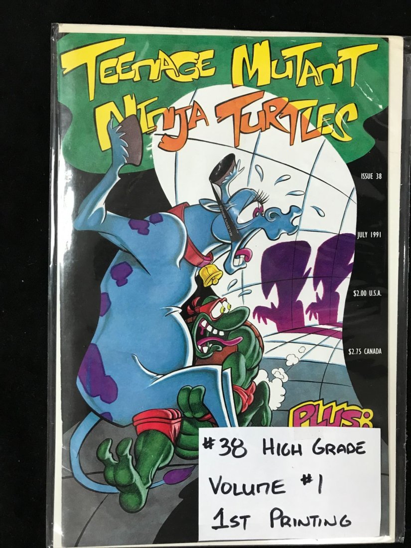 TEENAGE MUTANT NINJA TURTLES #38 MIRAGE STUDIOS VOLUME 1: TEENAGE MUTANT NINJA TURTLES #38 MIRAGE STUDIOS VOLUME 1
