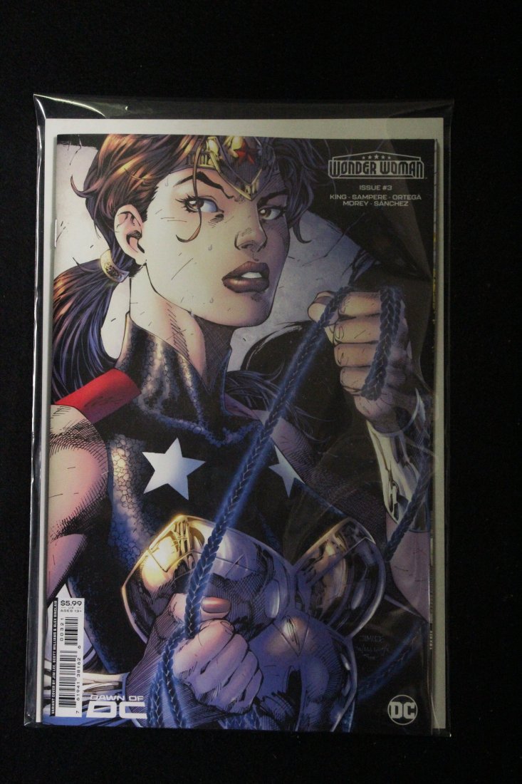 WONDER WOMAN #3 JIM LEE VARIANT COVER: WONDER WOMAN #3 JIM LEE VARIANT COVER
