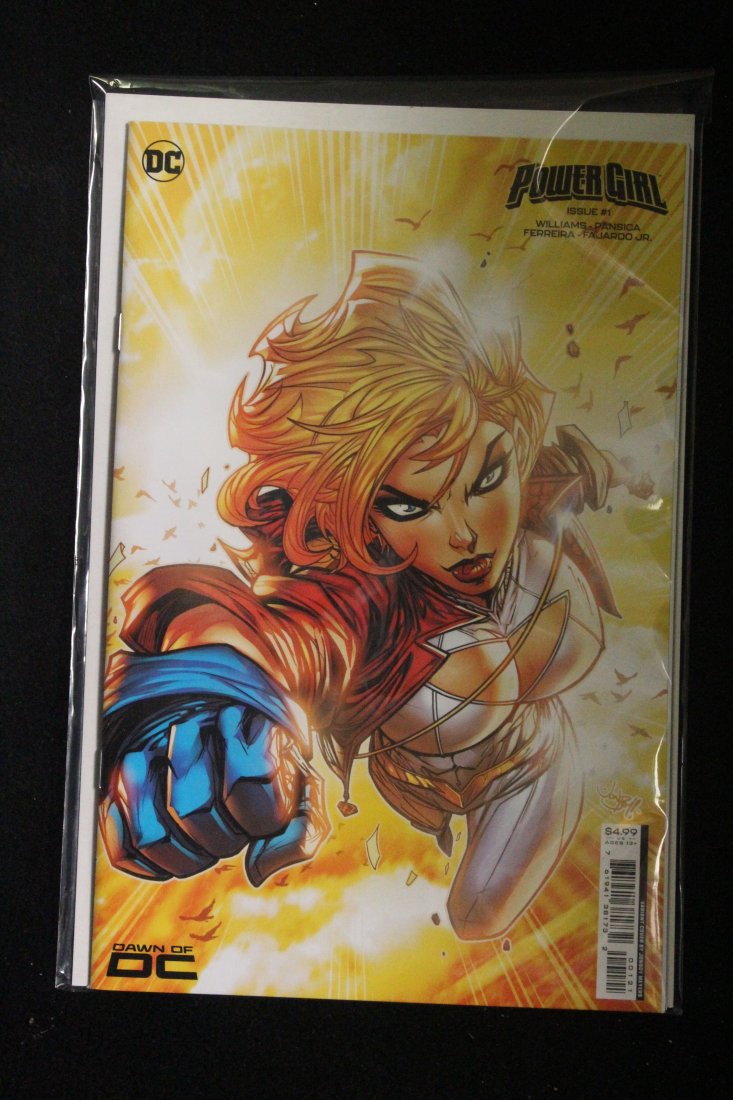 POWER GIRL #1 JONBOY MEYERS VARIANT COVER: POWER GIRL #1 JONBOY MEYERS VARIANT COVER