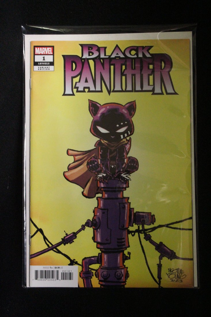 BLACK PANTHER #1 SCOTTIE YOUNG VARIANT COVER: BLACK PANTHER #1 SCOTTIE YOUNG VARIANT COVER