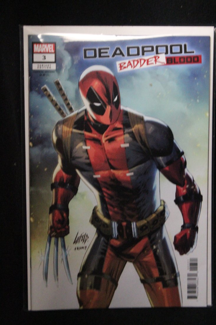 DEADPOOL BADDER BLOOD #3 ROB LIEFELD VARIANT COVER (1 of 1)