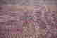 item-111296169=2