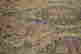 item-111299716=4