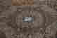 item-112195855=3