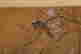 item-114025191=6