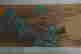 item-117810480=4