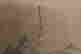 item-117810782=4
