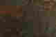 item-117810814=4