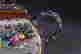 item-119930808=6