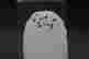 item-119931174=7