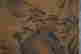 item-120156204=3