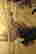 item-120880180=3