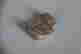 item-126789143=3