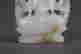 item-127319129=3
