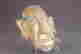 item-127574237=2
