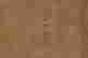 item-127797356=11