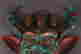item-127797439=2