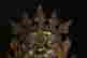 item-127960411=3