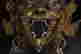 item-127960411=4