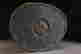 item-130441976=11