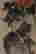 item-130441978=4