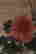 item-130441978=5