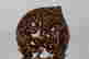 item-131463781=4