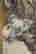 item-131463965=3