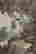 item-131463965=7