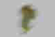 item-131464153=2
