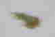 item-131464153=3
