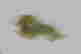 item-131464153=4
