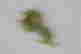item-131464153=5